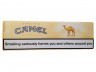 camel_filter_box5p.jpg